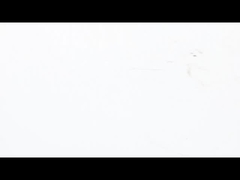 NEMA 23 Pancake Stepper Motor Performa Torsi Tinggi Ultra - Tipis