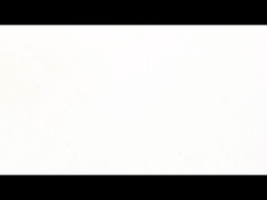 Solusi Gerak Fleksibel Kompak Motor Stepper Non - Captive NEMA 8